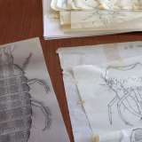 ...il quale prima di farci scoprire il �museo� ci mostra una serie di precisi disegni scientifici realizzati a mano con pennini e inchiostro